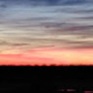 Meet your Posher, Malia